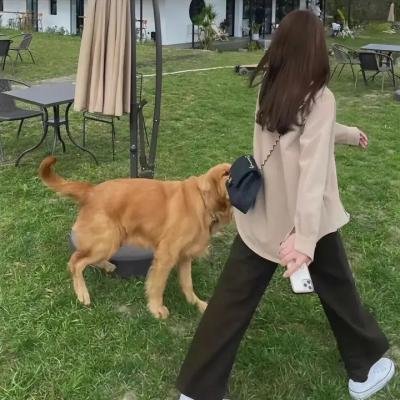 三人行必有我妹